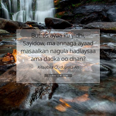 Picture 07 - Luukos 12:41 SOM - Butros ayaa ku yidhi, Sayidow, ma annaga ayaad - Bible Verse Picture