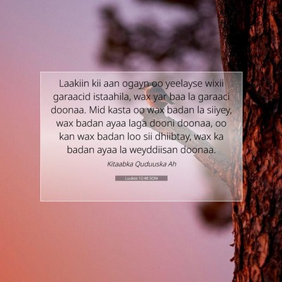 Picture 07 - Luukos 12:48 SOM - Laakiin kii aan ogayn oo yeelayse wixii garaacid - Bible Verse Picture