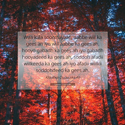 Picture 07 - Luukos 12:53 SOM - Waa kala soocmayaan, aabbe wiil ka gees ah iyo - Bible Verse Picture