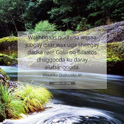 Picture 07 - Luukos 13:1 SOM - Wakhtigaas qudhiisa waxaa joogay qaar wax uga - Bible Verse Picture