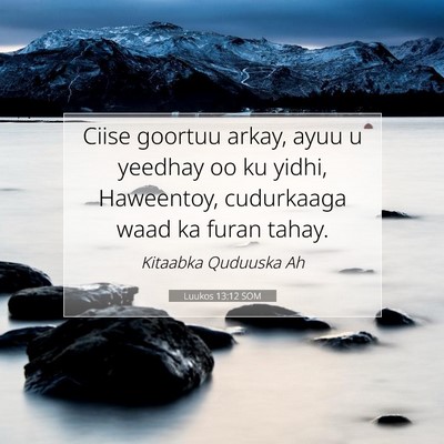 Picture 07 - Luukos 13:12 SOM - Ciise goortuu arkay, ayuu u yeedhay oo ku yidhi, - Bible Verse Picture