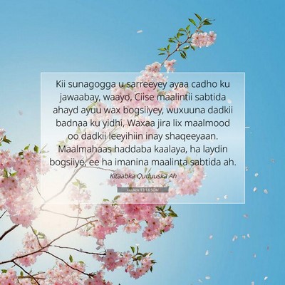 Picture 07 - Luukos 13:14 SOM - Kii sunagogga u sarreeyey ayaa cadho ku jawaabay, - Bible Verse Picture