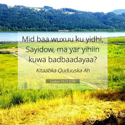 Picture 07 - Luukos 13:23 SOM - Mid baa wuxuu ku yidhi, Sayidow, ma yar yihiin - Bible Verse Picture