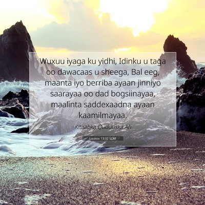 Picture 07 - Luukos 13:32 SOM - Wuxuu iyaga ku yidhi, Idinku u taga oo dawacaas u - Bible Verse Picture