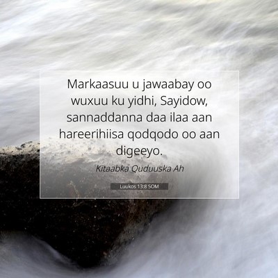 Picture 07 - Luukos 13:8 SOM - Markaasuu u jawaabay oo wuxuu ku yidhi, Sayidow, - Bible Verse Picture