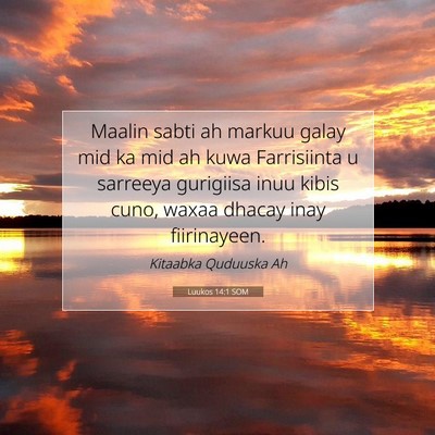 Picture 07 - Luukos 14:1 SOM - Maalin sabti ah markuu galay mid ka mid ah kuwa - Bible Verse Picture