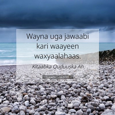 Picture 07 - Luukos 14:6 SOM - Wayna uga jawaabi kari waayeen - Bible Verse Picture