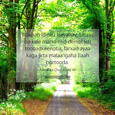 Picture 07 - Luukos 15:10 SOM - Waxaan idinku leeyahay, Sidaas oo kale markii mid - Bible Verse Picture