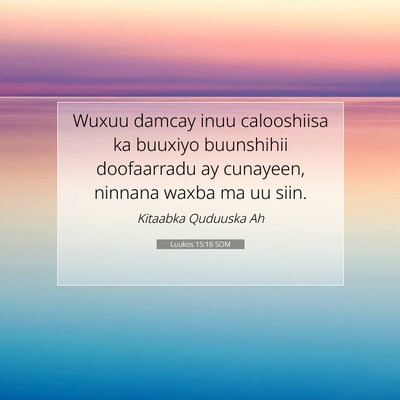Picture 07 - Luukos 15:16 SOM - Wuxuu damcay inuu calooshiisa ka buuxiyo - Bible Verse Picture