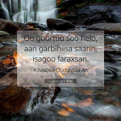 Picture 07 - Luukos 15:5 SOM - Oo goortuu soo helo, aan garbihiisa saarin, - Bible Verse Picture