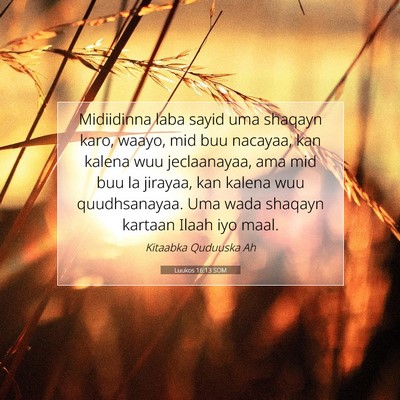 Picture 07 - Luukos 16:13 SOM - Midiidinna laba sayid uma shaqayn karo, waayo, - Bible Verse Picture