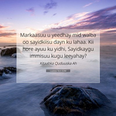 Picture 07 - Luukos 16:5 SOM - Markaasuu u yeedhay mid walba oo sayidkiisu dayn - Bible Verse Picture