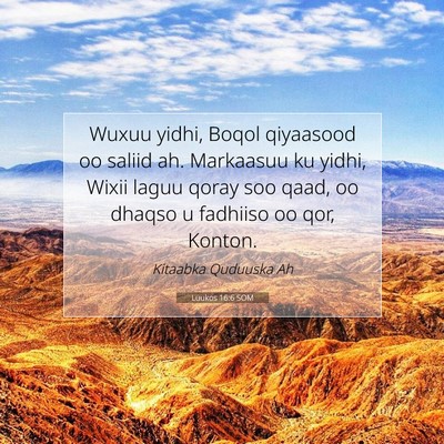 Picture 07 - Luukos 16:6 SOM - Wuxuu yidhi, Boqol qiyaasood oo saliid ah. - Bible Verse Picture