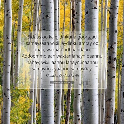 Picture 07 - Luukos 17:10 SOM - Sidaas oo kale idinkuna goortaad samaysaan wixii - Bible Verse Picture