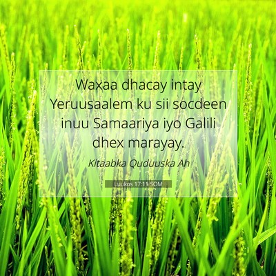 Picture 07 - Luukos 17:11 SOM - Waxaa dhacay intay Yeruusaalem ku sii socdeen - Bible Verse Picture