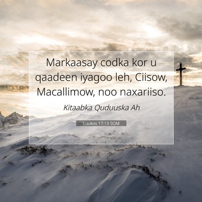 Picture 07 - Luukos 17:13 SOM - Markaasay codka kor u qaadeen iyagoo leh, Ciisow, - Bible Verse Picture