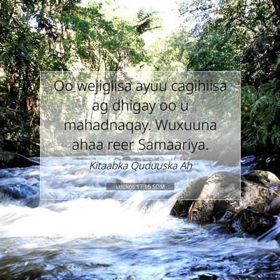 Picture 07 - Luukos 17:16 SOM - Oo wejigiisa ayuu cagihiisa ag dhigay oo u - Bible Verse Picture