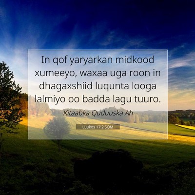 Picture 07 - Luukos 17:2 SOM - In qof yaryarkan midkood xumeeyo, waxaa uga roon - Bible Verse Picture
