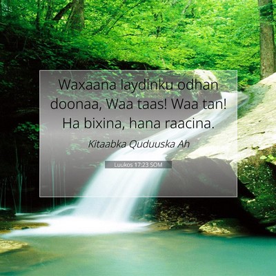 Picture 07 - Luukos 17:23 SOM - Waxaana laydinku odhan doonaa, Waa taas! Waa tan! - Bible Verse Picture