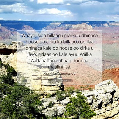 Picture 07 - Luukos 17:24 SOM - Waayo, sida hillaacu markuu dhinaca hoose oo - Bible Verse Picture