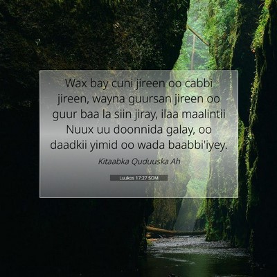 Picture 07 - Luukos 17:27 SOM - Wax bay cuni jireen oo cabbi jireen, wayna - Bible Verse Picture