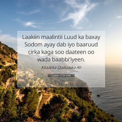 Picture 07 - Luukos 17:29 SOM - Laakiin maalintii Luud ka baxay Sodom ayay dab - Bible Verse Picture
