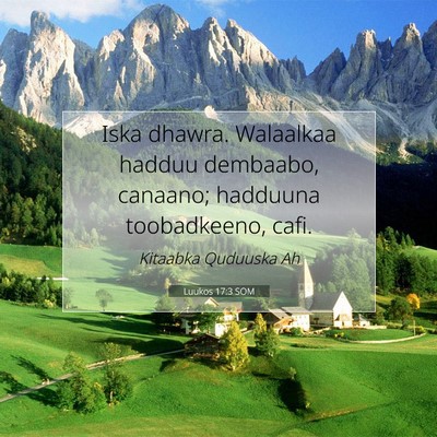 Picture 07 - Luukos 17:3 SOM - Iska dhawra. Walaalkaa hadduu dembaabo, canaano; - Bible Verse Picture