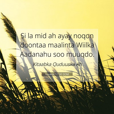 Picture 07 - Luukos 17:30 SOM - Si la mid ah ayay noqon doontaa maalinta Wiilka - Bible Verse Picture