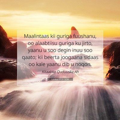 Picture 07 - Luukos 17:31 SOM - Maalintaas kii guriga fuushanu, oo alaabtiisu - Bible Verse Picture