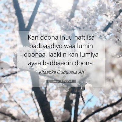 Picture 07 - Luukos 17:33 SOM - Kan doona inuu naftiisa badbaadiyo waa lumin - Bible Verse Picture