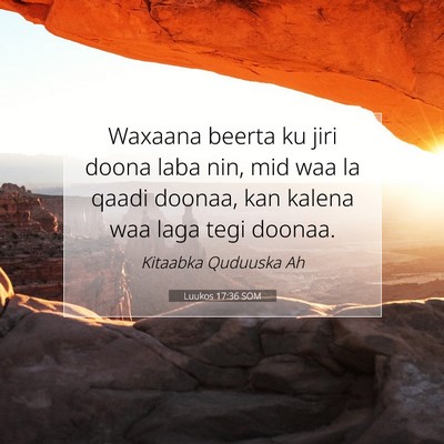 Picture 07 - Luukos 17:36 SOM - Waxaana beerta ku jiri doona laba nin, mid waa la - Bible Verse Picture