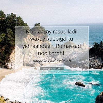 Picture 07 - Luukos 17:5 SOM - Markaasay rasuulladii waxay Rabbiga ku - Bible Verse Picture