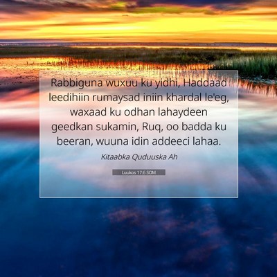 Picture 07 - Luukos 17:6 SOM - Rabbiguna wuxuu ku yidhi, Haddaad leedihiin - Bible Verse Picture