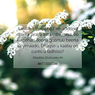 Picture 07 - Luukos 17:7 SOM - Laakiin kiinnee baa leh addoon dhulka jaraya ama - Bible Verse Picture