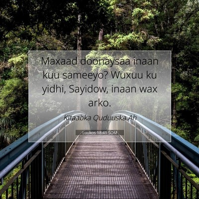 Picture 07 - Luukos 18:41 SOM - Maxaad doonaysaa inaan kuu sameeyo? Wuxuu ku - Bible Verse Picture