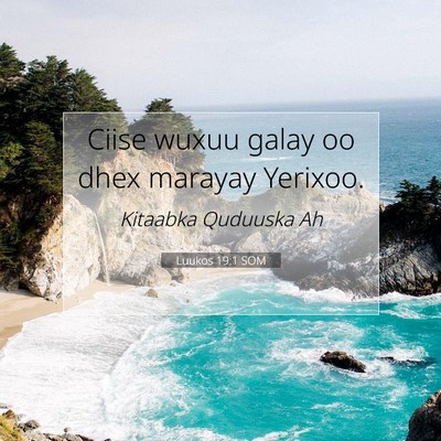 Picture 07 - Luukos 19:1 SOM - Ciise wuxuu galay oo dhex marayay - Bible Verse Picture