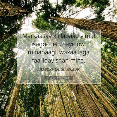 Picture 07 - Luukos 19:18 SOM - Markaasaa kii labaad yimid isagoo leh, Sayidow, - Bible Verse Picture