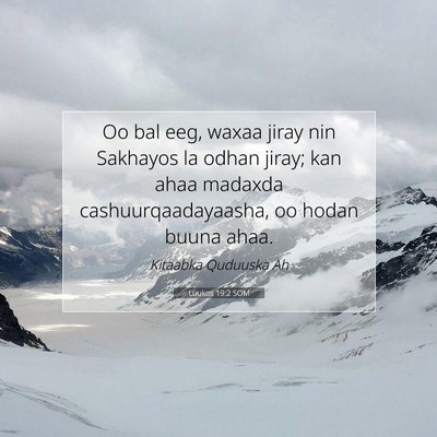Picture 07 - Luukos 19:2 SOM - Oo bal eeg, waxaa jiray nin Sakhayos la odhan - Bible Verse Picture