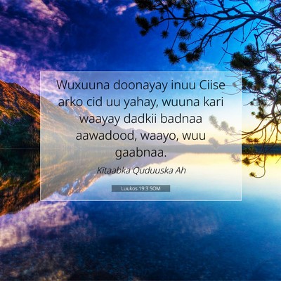 Picture 07 - Luukos 19:3 SOM - Wuxuuna doonayay inuu Ciise arko cid uu yahay, - Bible Verse Picture