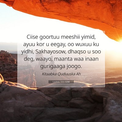 Picture 07 - Luukos 19:5 SOM - Ciise goortuu meeshii yimid, ayuu kor u eegay, oo - Bible Verse Picture