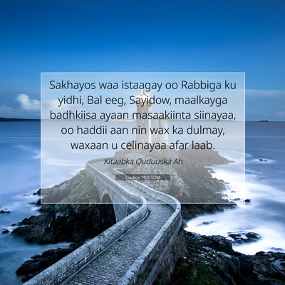 Picture 07 - Luukos 19:8 SOM - Sakhayos waa istaagay oo Rabbiga ku yidhi, Bal - Bible Verse Picture