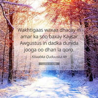 Picture 07 - Luukos 2:1 SOM - Wakhtigaas waxaa dhacay in amar ka soo baxay - Bible Verse Picture