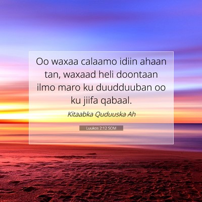 Picture 07 - Luukos 2:12 SOM - Oo waxaa calaamo idiin ahaan tan, waxaad heli - Bible Verse Picture