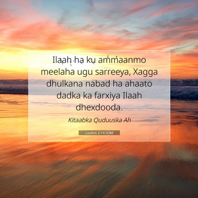 Picture 07 - Luukos 2:14 SOM - Ilaah ha ku ammaanmo meelaha ugu sarreeya, Xagga - Bible Verse Picture