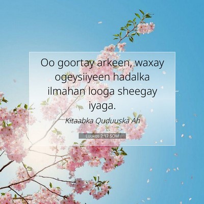 Picture 07 - Luukos 2:17 SOM - Oo goortay arkeen, waxay ogeysiiyeen hadalka - Bible Verse Picture
