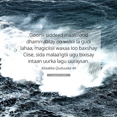 Picture 07 - Luukos 2:21 SOM - Goortii siddeed maalmood dhammaatay oo wiilkii la - Bible Verse Picture