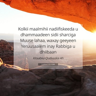 Picture 07 - Luukos 2:22 SOM - Kolkii maalmihii nadiifiskeeda u dhammaadeen - Bible Verse Picture