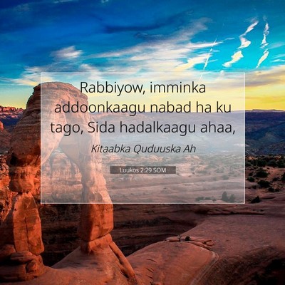 Picture 07 - Luukos 2:29 SOM - Rabbiyow, imminka addoonkaagu nabad ha ku tago, - Bible Verse Picture