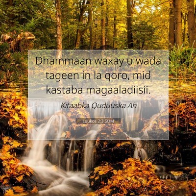 Picture 07 - Luukos 2:3 SOM - Dhammaan waxay u wada tageen in la qoro, mid - Bible Verse Picture