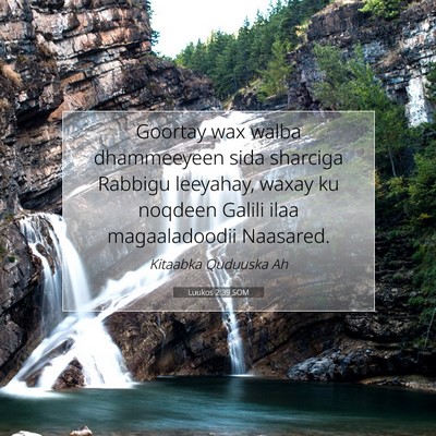 Picture 07 - Luukos 2:39 SOM - Goortay wax walba dhammeeyeen sida sharciga - Bible Verse Picture